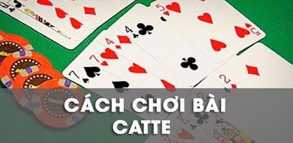 Hướng dẫn cách chơi bài Catte từ các cao thủ mới nhất